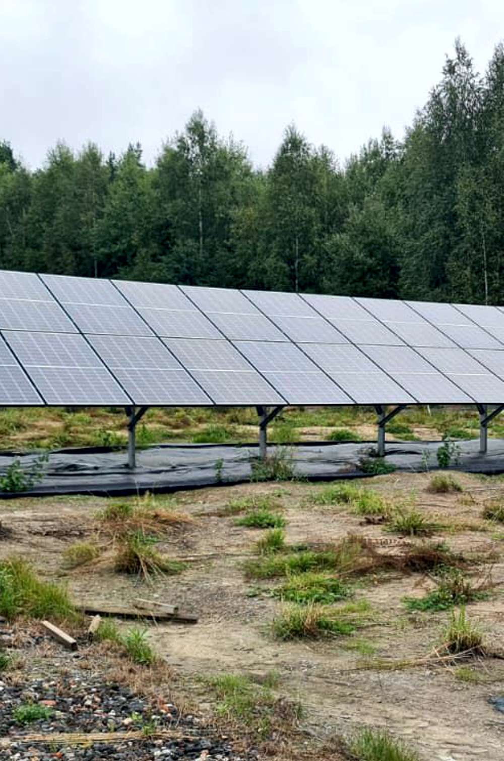 instalacja fotowoltaiczna posadowiona na polanie na tle lasu