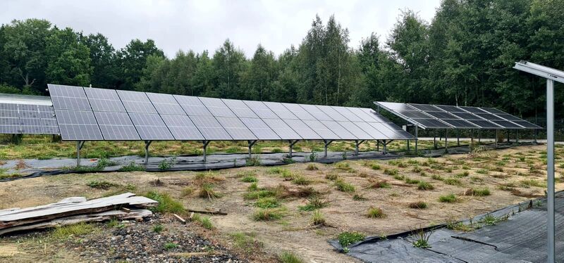 dwa rzędy paneli fotowoltaicznych stojących na działce otoczonej lasem