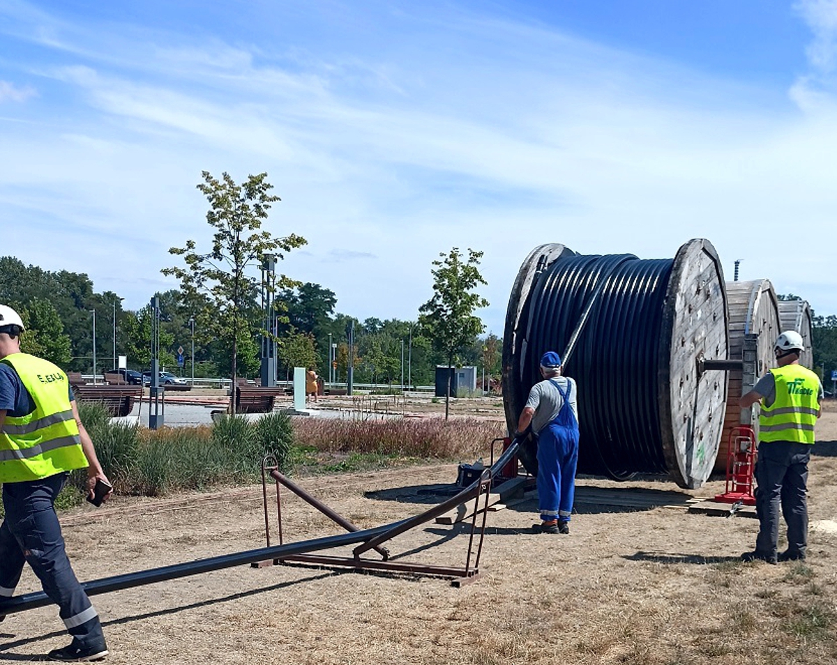 pracownik znajdujący się na trawniku rozwija z bębna o średnicy około trzech metrów czarny kabel energetyczny wysokiego napięcia