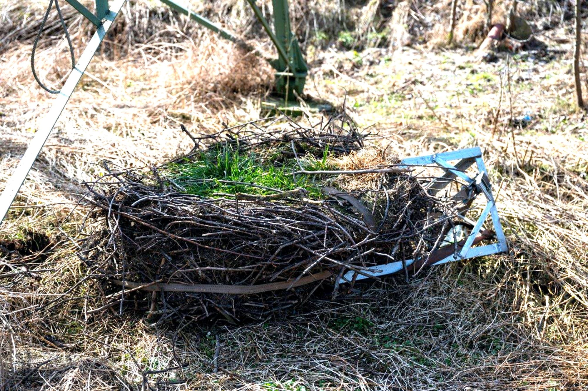 bocianie gniazdo zdemontowane ze słupa energetycznego leży na ziemi