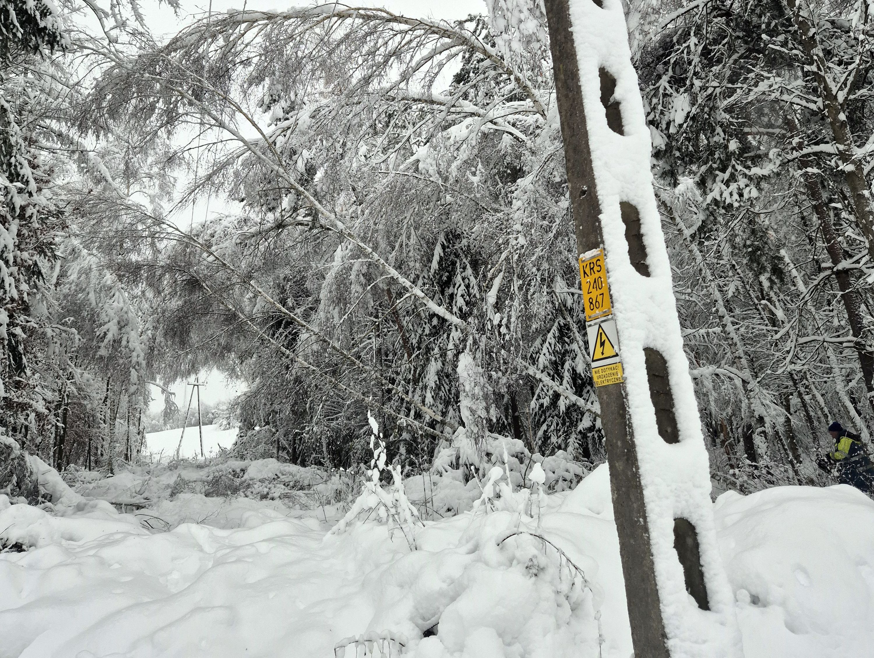Awarie są skutkiem przewracania się obciążonych śniegiem drzew na słupy i linie energetyczne.