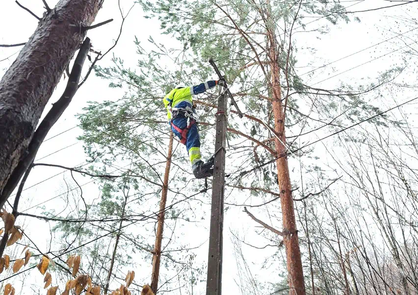Dzięki intensywnej pracy energetyków i poprawiającym się warunkom pogodowym przewidujemy, że większość klientów odzyska dostęp do energii jeszcze dziś.