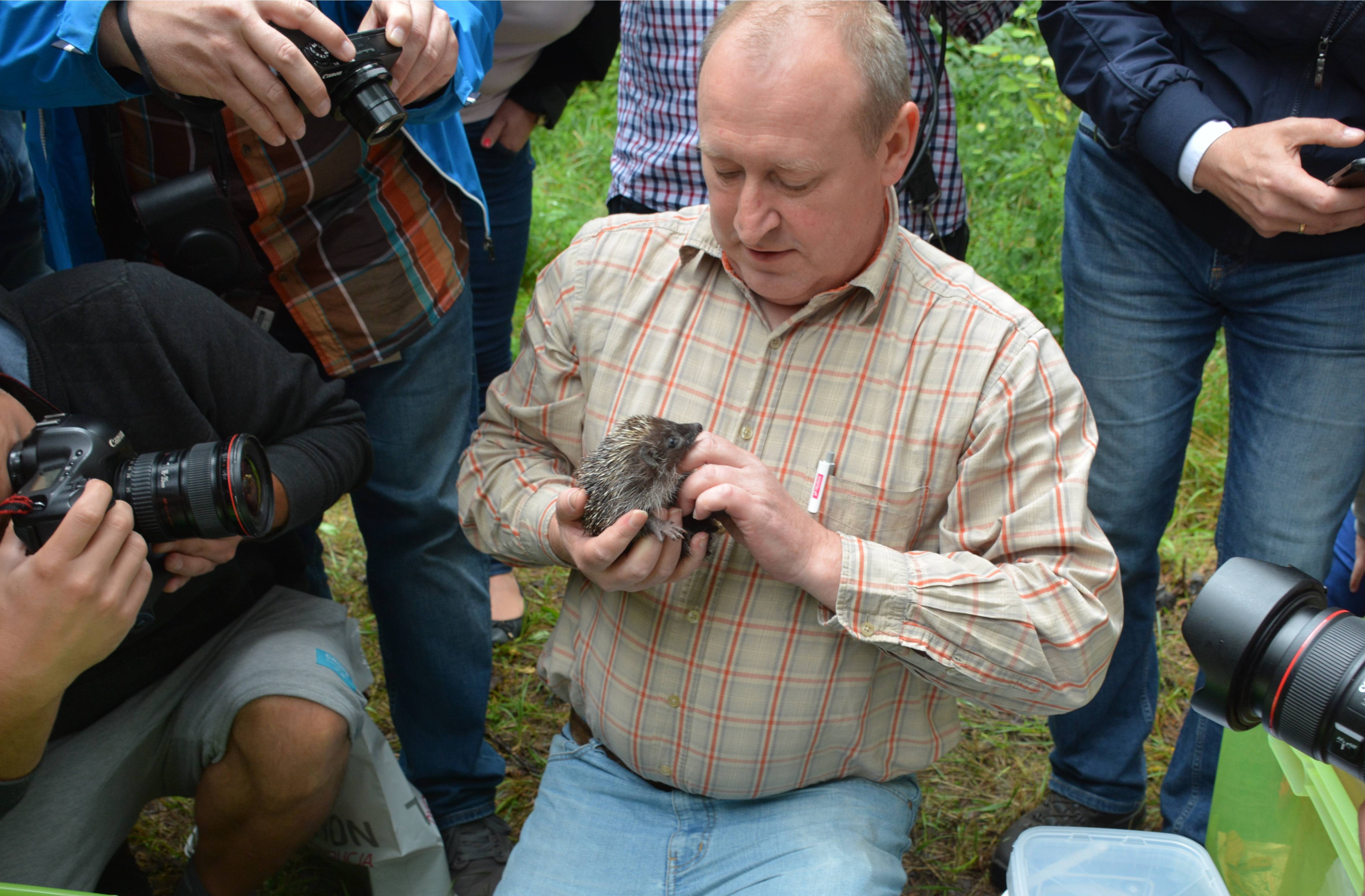 Domki dla jeży Rybnik TAURON